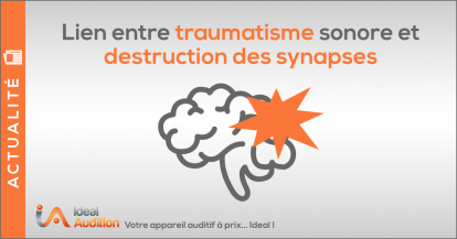 Quel est le lien entre Traumatisme sonore et destruction des synapses ?