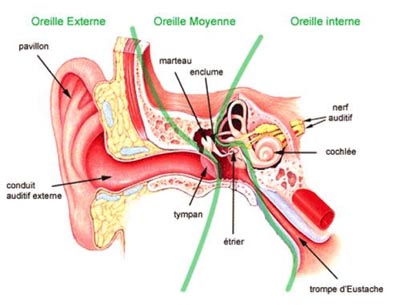 Vertiges de l'oreille interne 